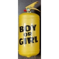 Огнетушитель для гендер пати 2 литра розовый