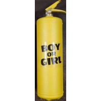 Огнетушитель для гендер пати 5 литров синий